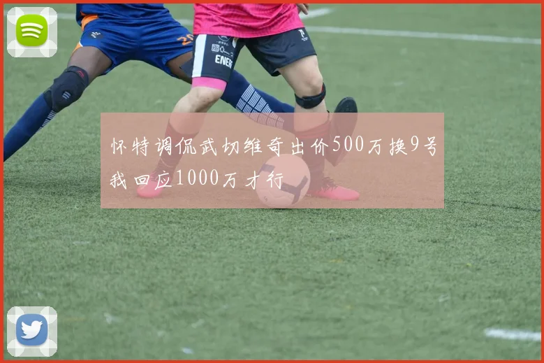 怀特调侃武切维奇出价500万换9号我回应1000万才行