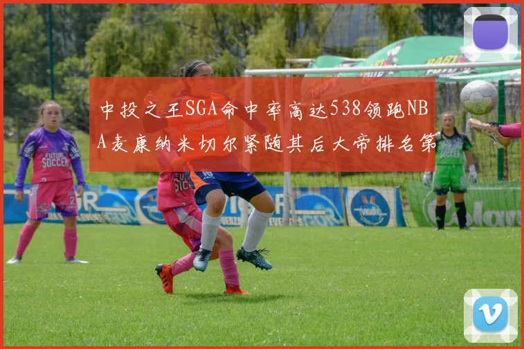 中投之王SGA命中率高达538领跑NBA麦康纳米切尔紧随其后大帝排名第七