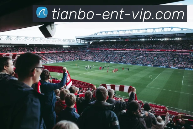 App Interface Preview